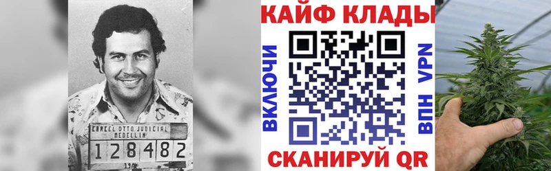 Купить закладку Альфа ПВП  Галлюциногенные грибы  NBOMe  ГАШИШ  Каннабис  Меф мяу мяу  COCAIN  Заволжье