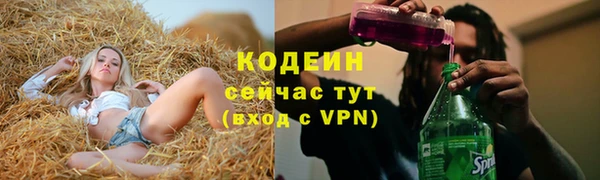 прущие грибы Козловка