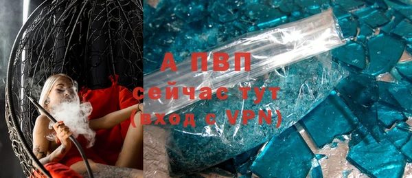 прущие грибы Козловка
