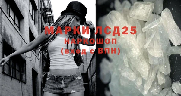 прущие грибы Козловка