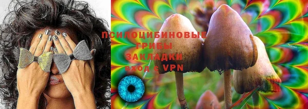 прущие грибы Козловка