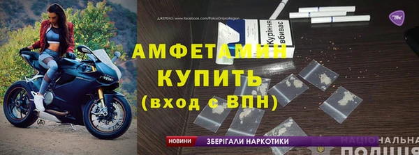 прущие грибы Козловка