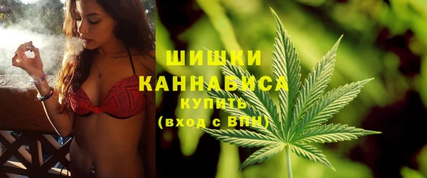 прущие грибы Козловка