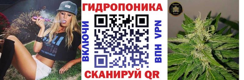 Купить закладки  Заволжье  Шишки марихуана гибрид 